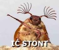 ic.jpg