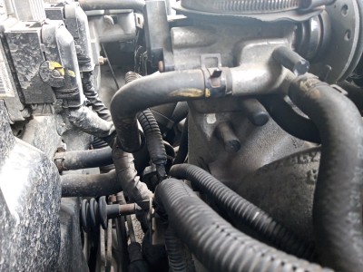 20200924_093950_HDR.jpg