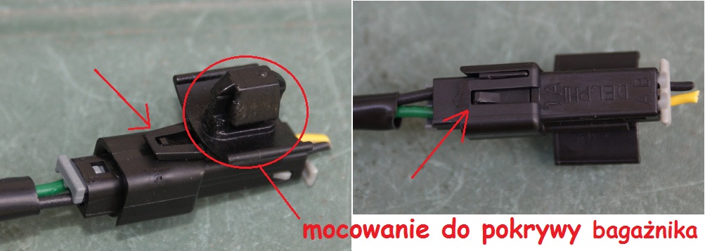 p2.jpg