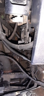 20220126_173705.jpg