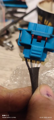IMG_20220122_085310.jpg