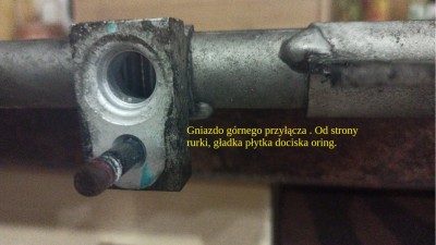 gniazdo górne.jpg
