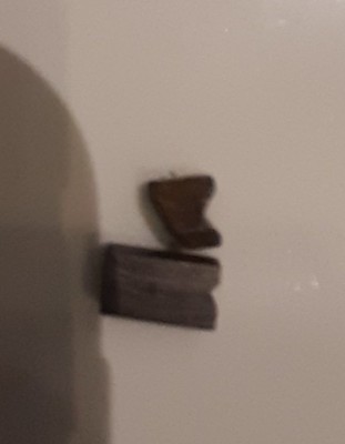 szczotki