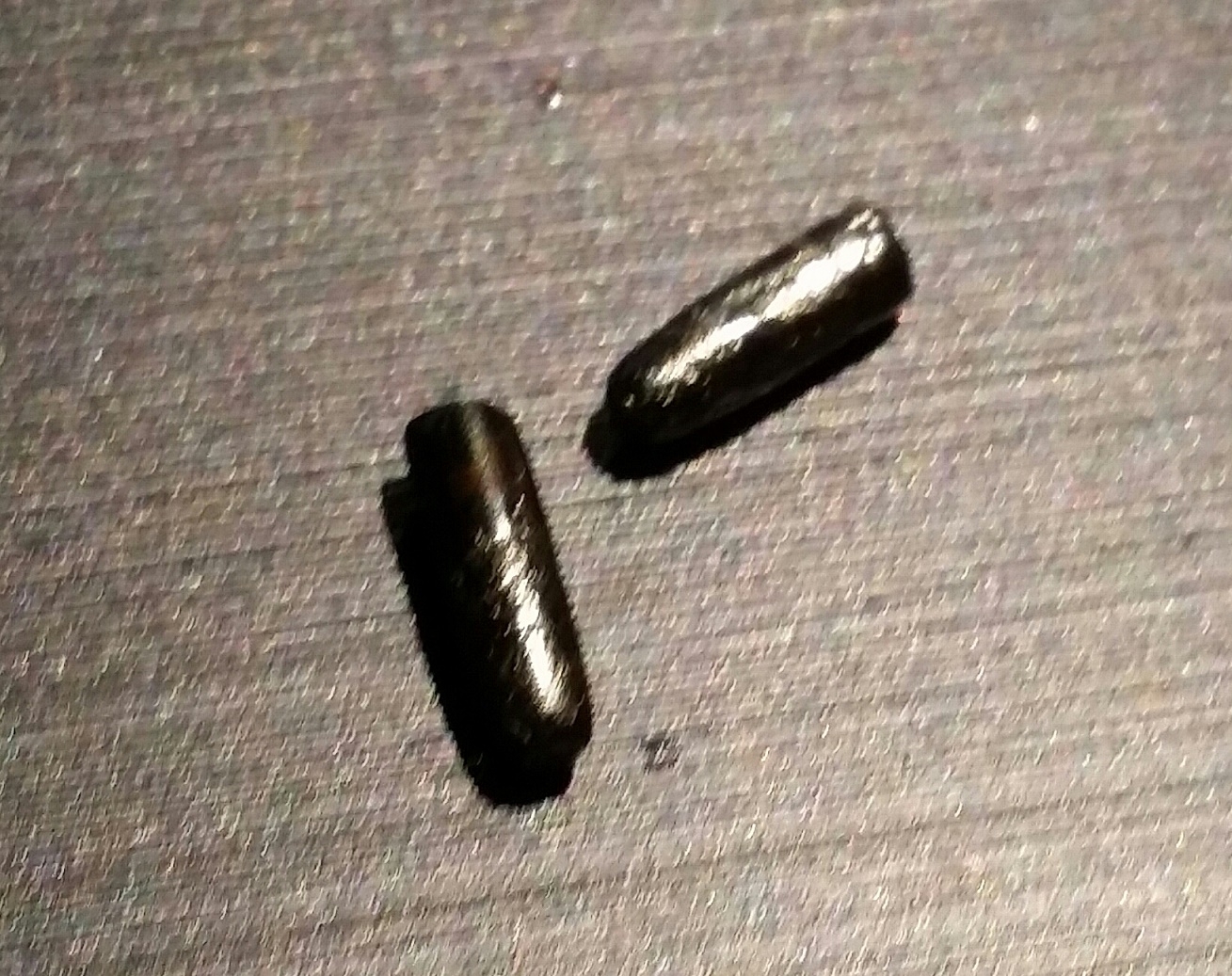 20151111_193615-1.jpg