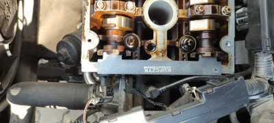 IMG_20240829_151454.jpg