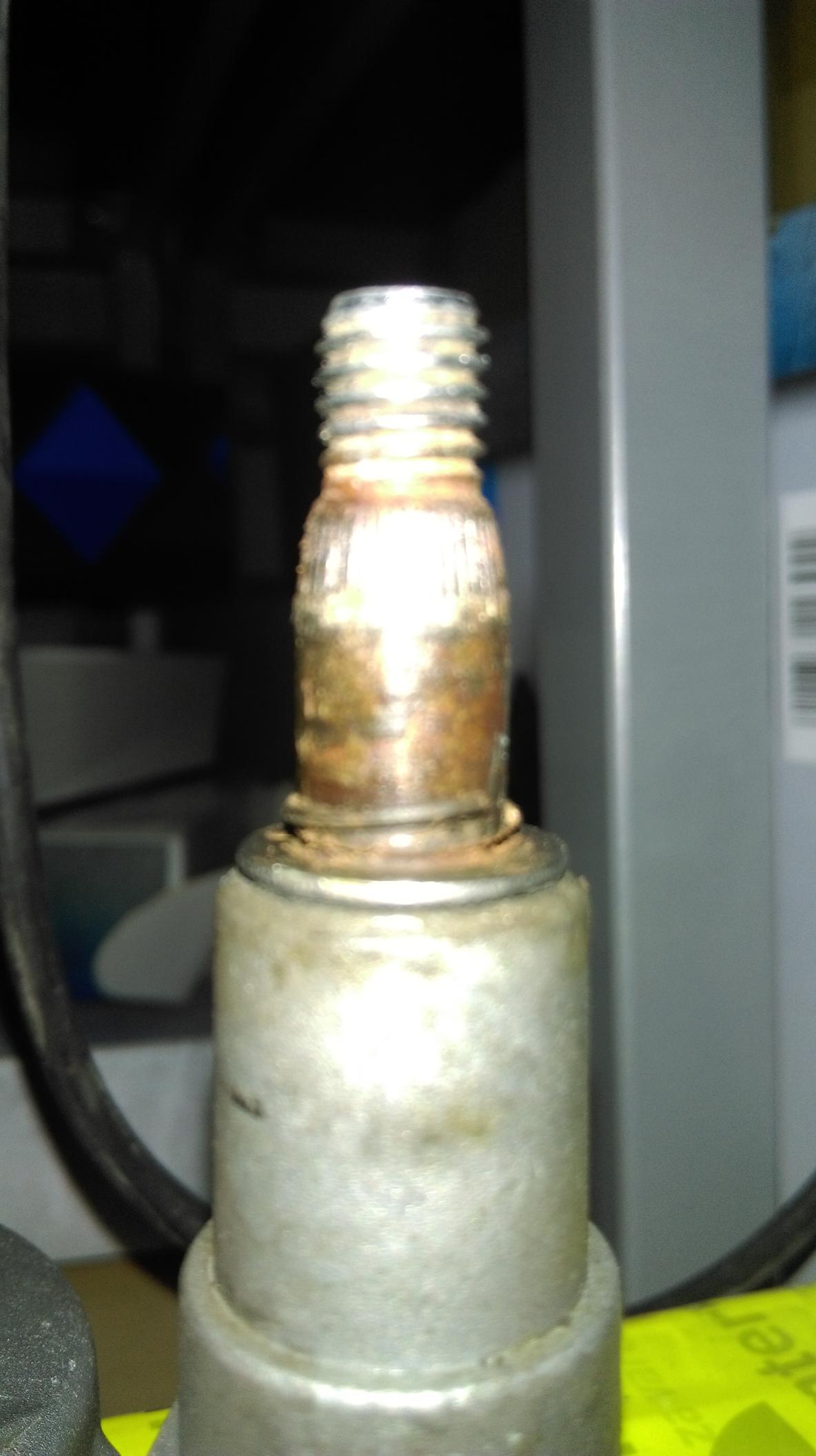 IMAG0302.jpg