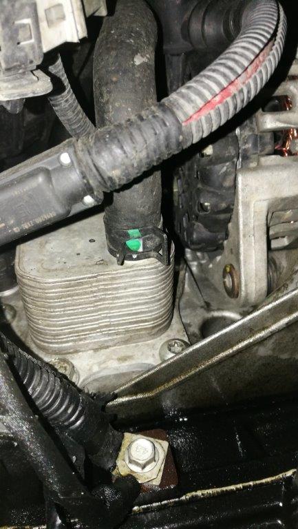 IMG_20170131_184824.jpg