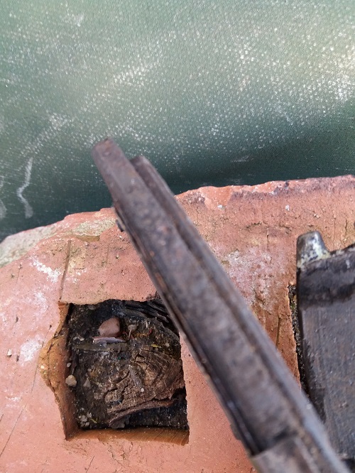 20170303_165208.jpg