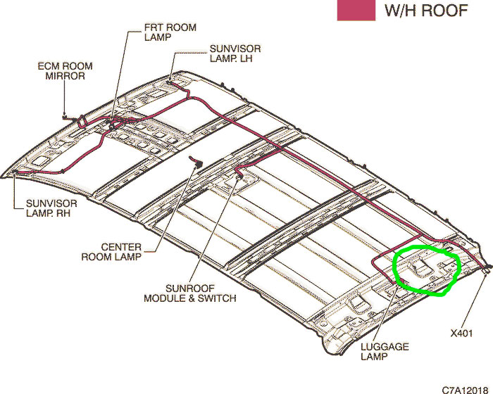 C7A12018.jpg