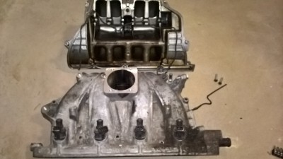 WP_20180402_17_32_22_Pro.jpg